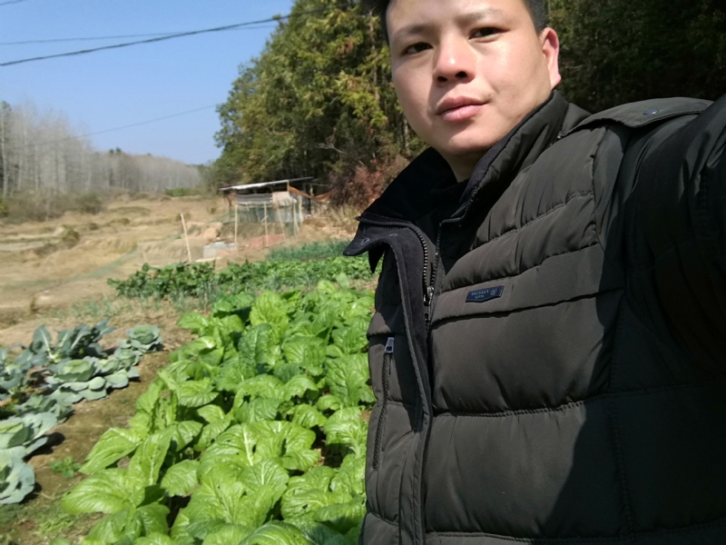 倔强的驴的第一张照片--泰宁交友网