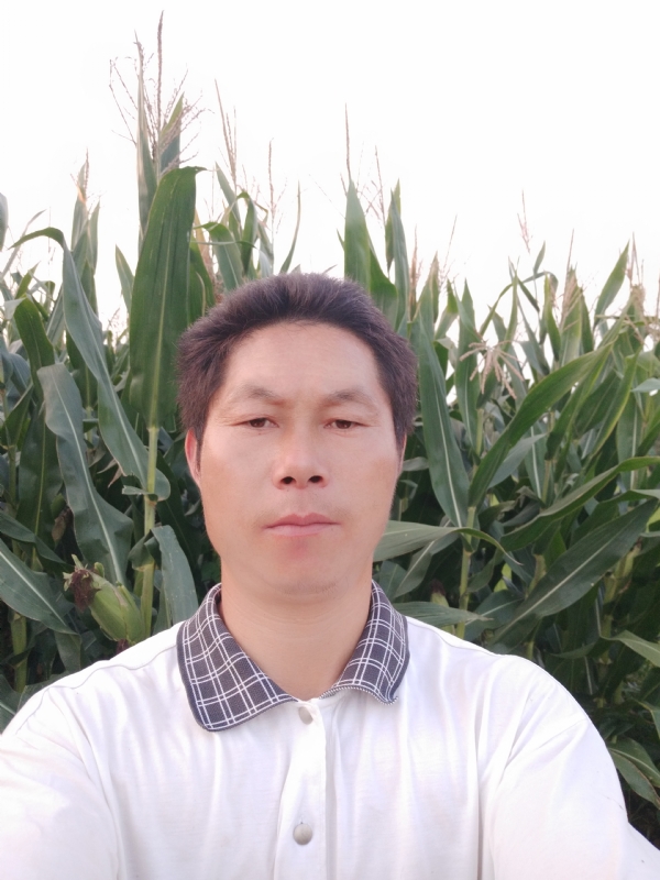 四海游龙的第一张照片--泰宁交友网