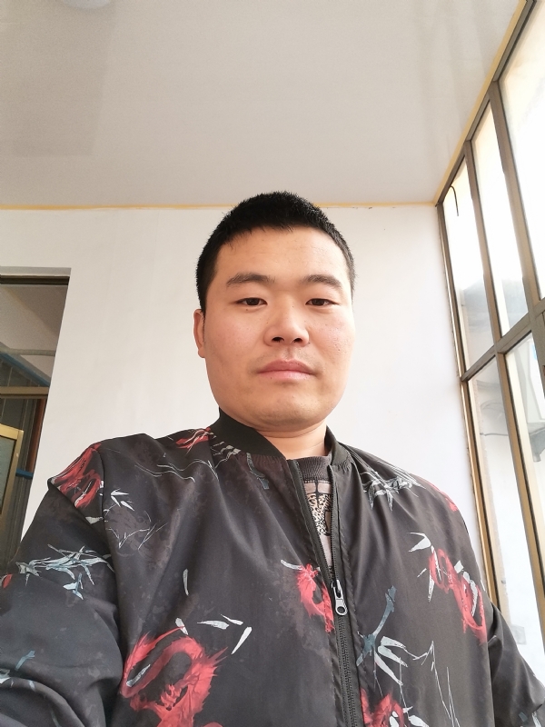 会飞的猪的第一张照片--泰宁交友网