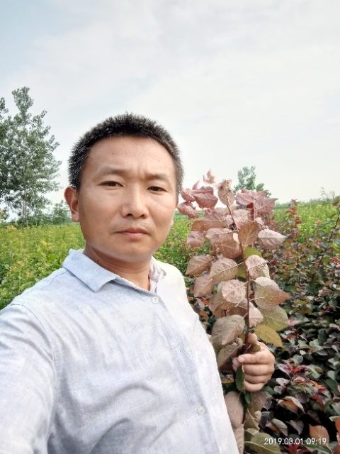 孩子爸的第一张照片--泰宁交友网