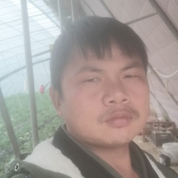 孤狼‘的第一张照片--泰宁交友网