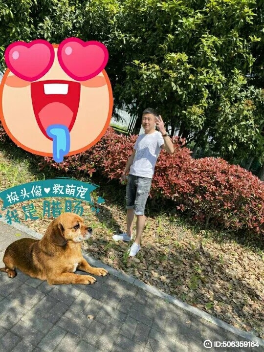 我若不坚强谁替我勇敢的第一张照片--泰宁交友网