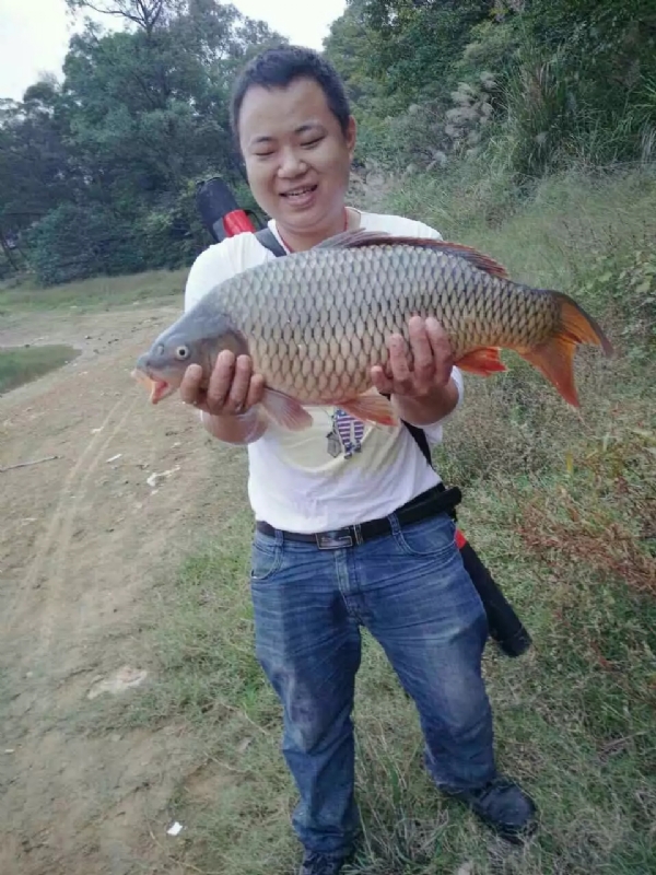 迷路的男人的第一张照片--泰宁交友网