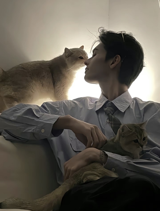 怪猫的第一张照片--泰宁交友网