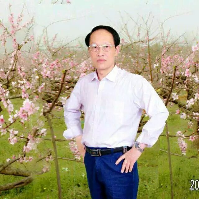 枫叶的第一张照片--泰宁交友网